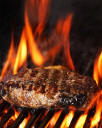 grilled steak