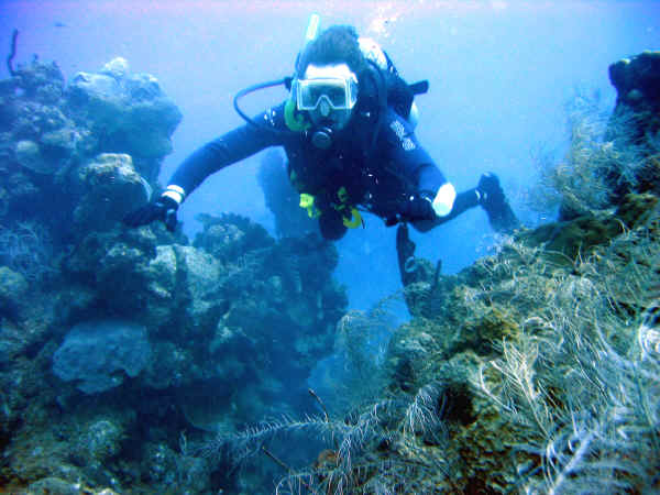 St. Croix SCUBA Diving - U.S. Virgin Islands 11