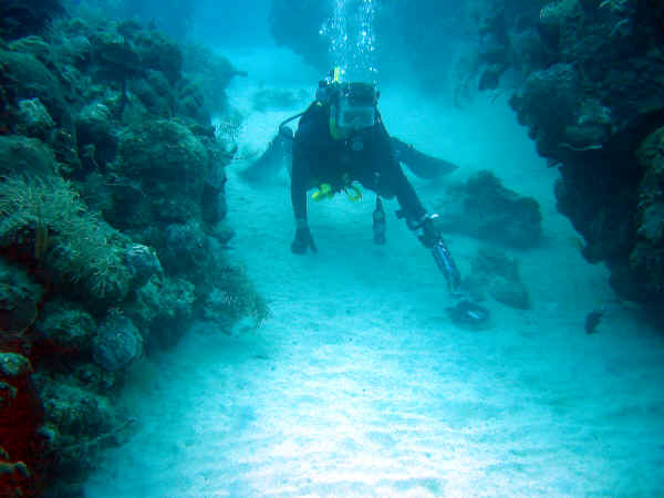 St. Croix SCUBA Diving - U.S. Virgin Islands 2