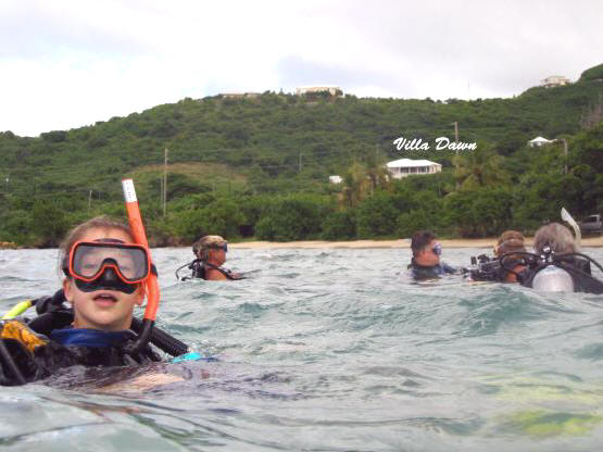 St. Croix SCUBA Diving - U.S. Virgin Islands 13