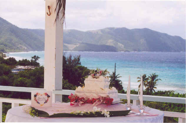 St. Croix wedding at Villa Dawn, St. Croix 4