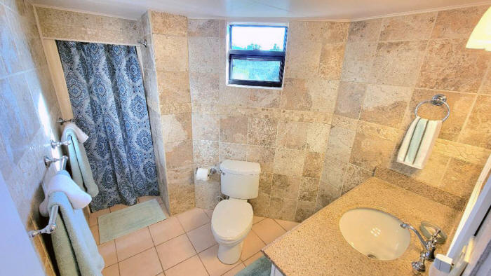 Lower level suite bathroom