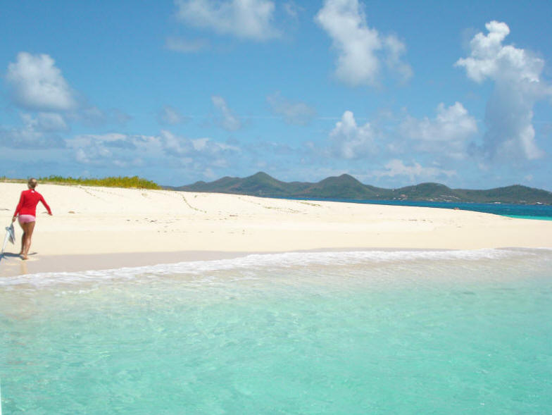 Buck Island Beach , St. Croix