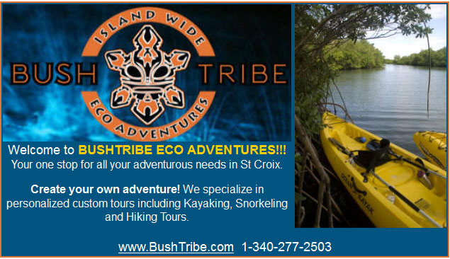 Bushtribe Eco Adventures