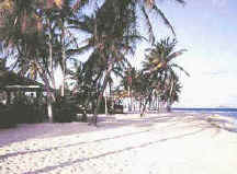 Cormorant Beach, St. Croix