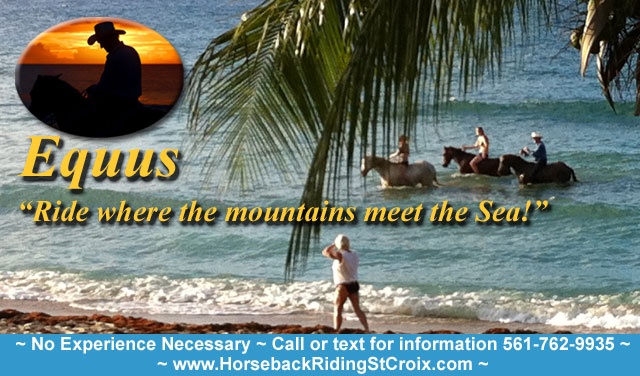 Equus Horseback Riding on St. Croix, U.S. Virgin Islands