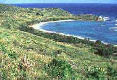 Jack's Bay, St. Croix