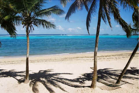 Sugar Beach, St. Croix, U.S. Virgin Islands