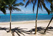 Sugar Beach, St. Croix