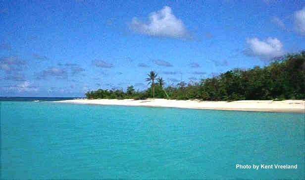 Turtle Beach on Buck Island, St. Croix