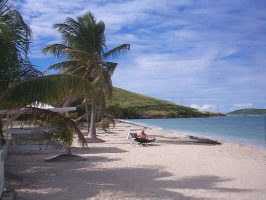 Reef Beach, St. Croix, US Virgin Islands
