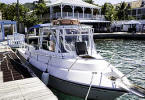 Christiansted dive operator